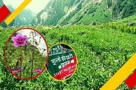 hindi-news