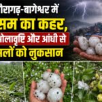 hindi-news