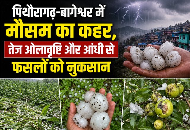 hindi-news